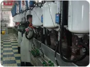 산동한일목장 전경 및 착유실 7