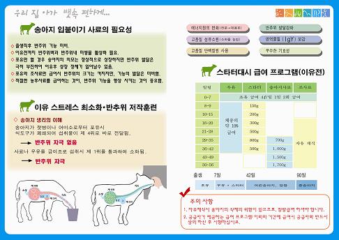 본문에 추가된 대표 썸네일 사진